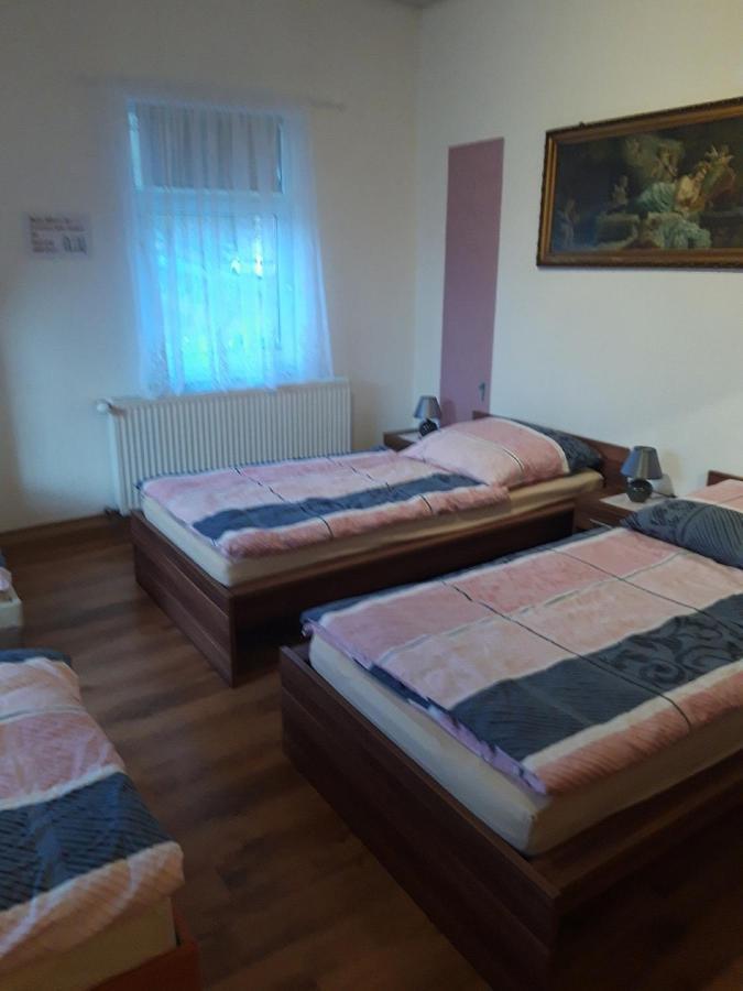 Ferienwohnung Erz-Hostel Thermalbad Wiesenbad Exteriér fotografie